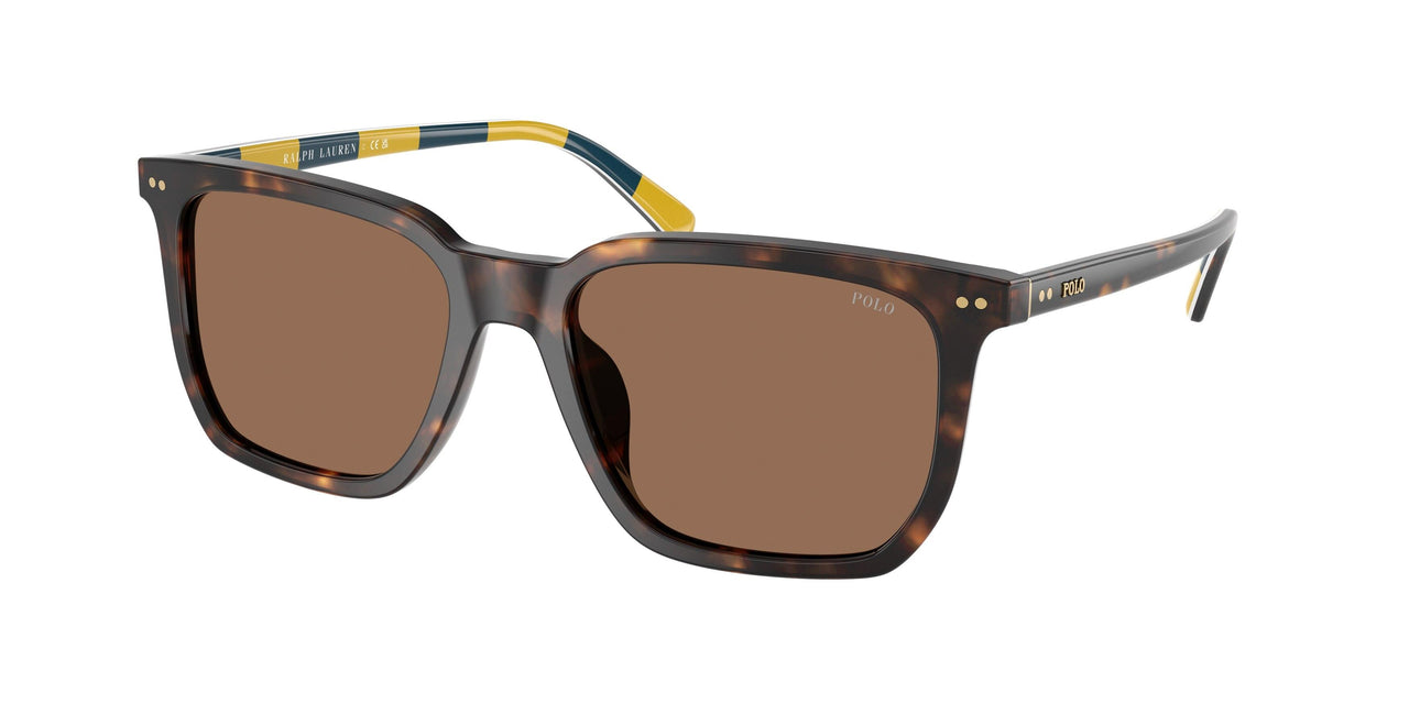 Polo 4224F Sunglasses