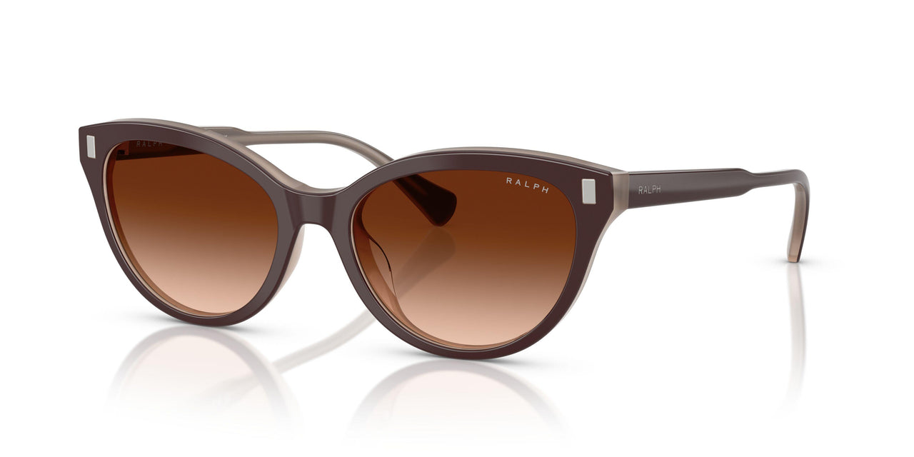 606574 - Brown - Gradient Brown