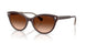 606574 - Brown - Gradient Brown