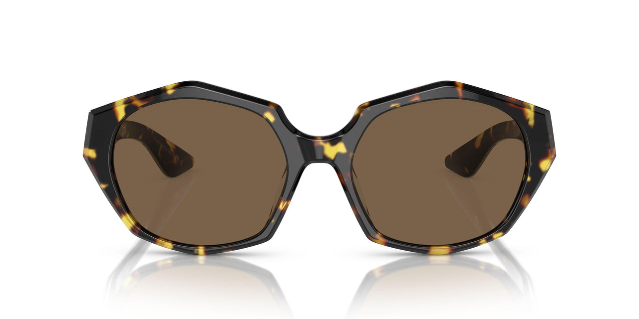 140783 - Tortoise - Brown