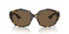 140783 - Tortoise - Brown