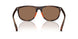 597473 - Tortoise - Dark Brown