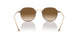 334051 - Bronze/copper - Clear Gradient Brown