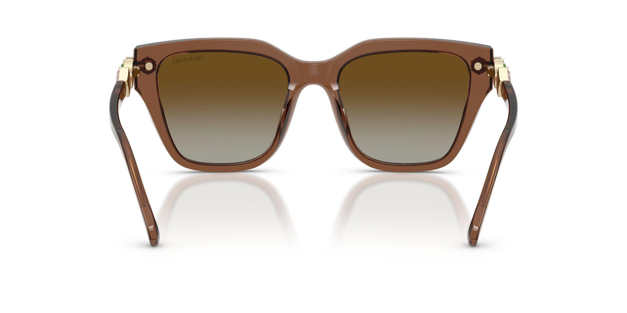 1067T5 - Brown - Gradient Brown Polar