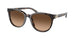 512074 - Havana - Brown Gradient