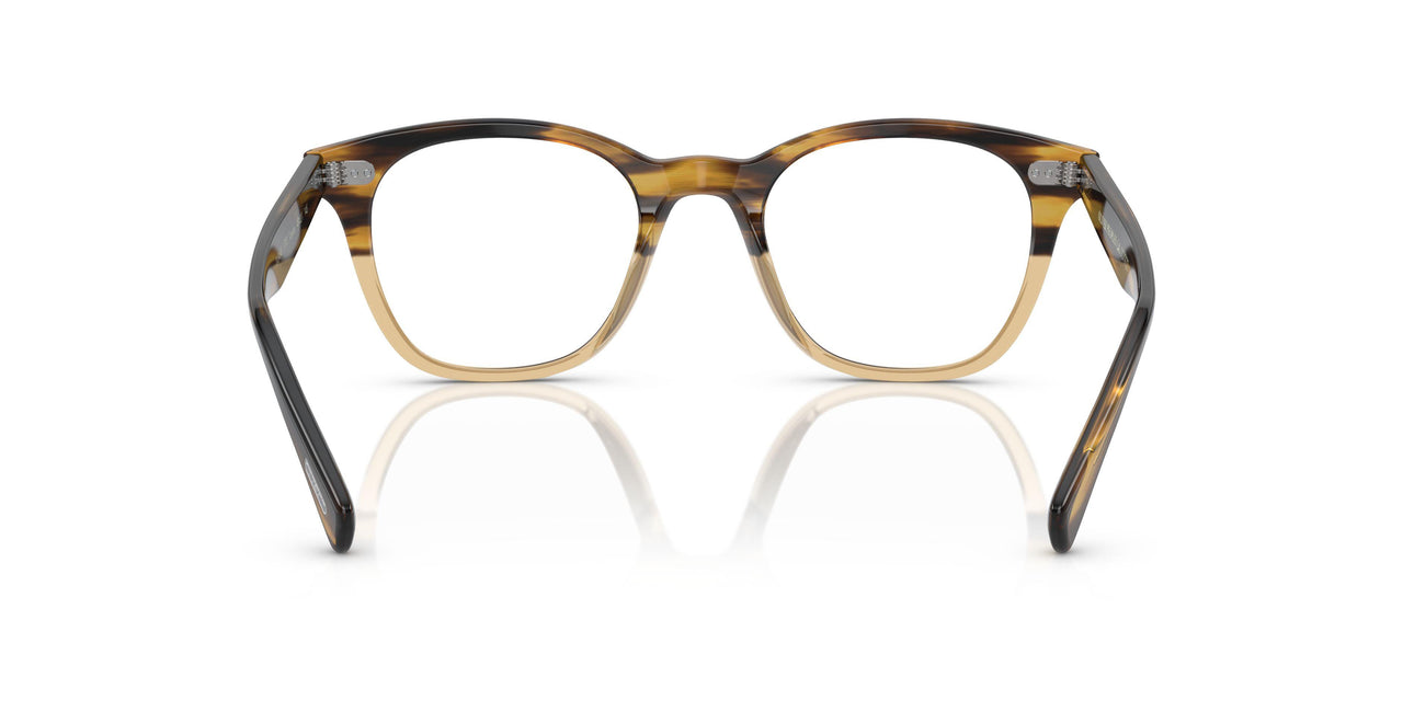 1703 - Brown