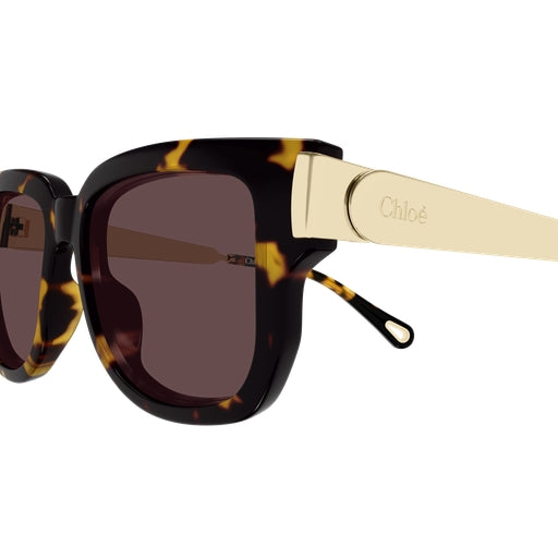 003 - Havana/Gold - Violet