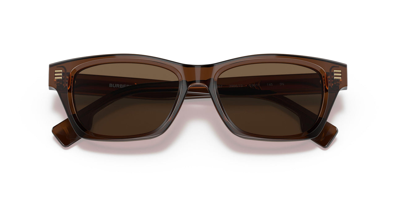398673 - Brown - Dark Brown