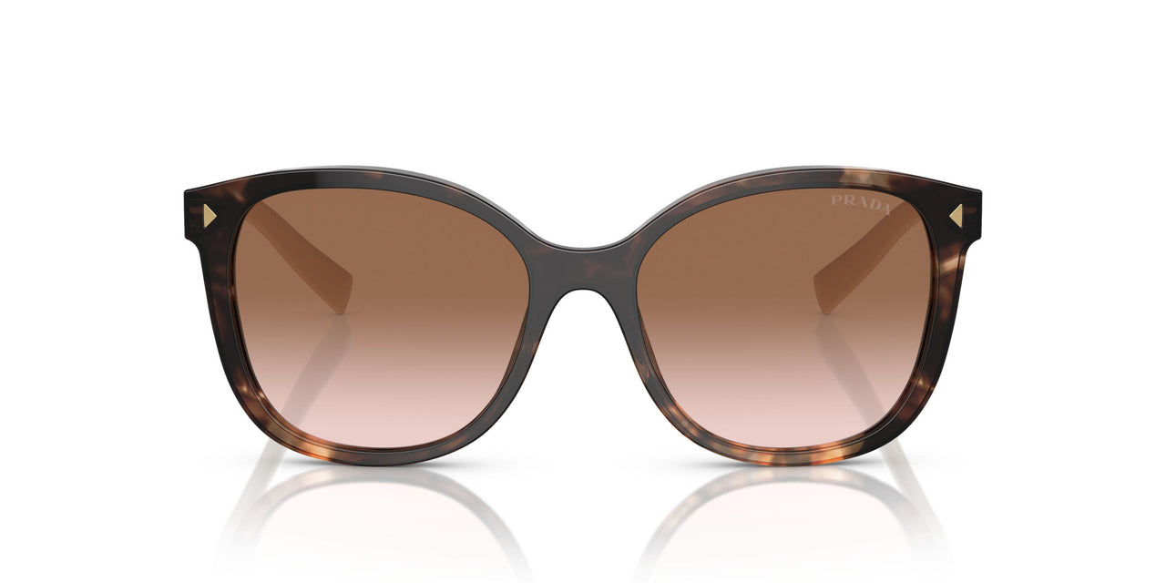 07R0A6 - Tortoise - Brown Gradient