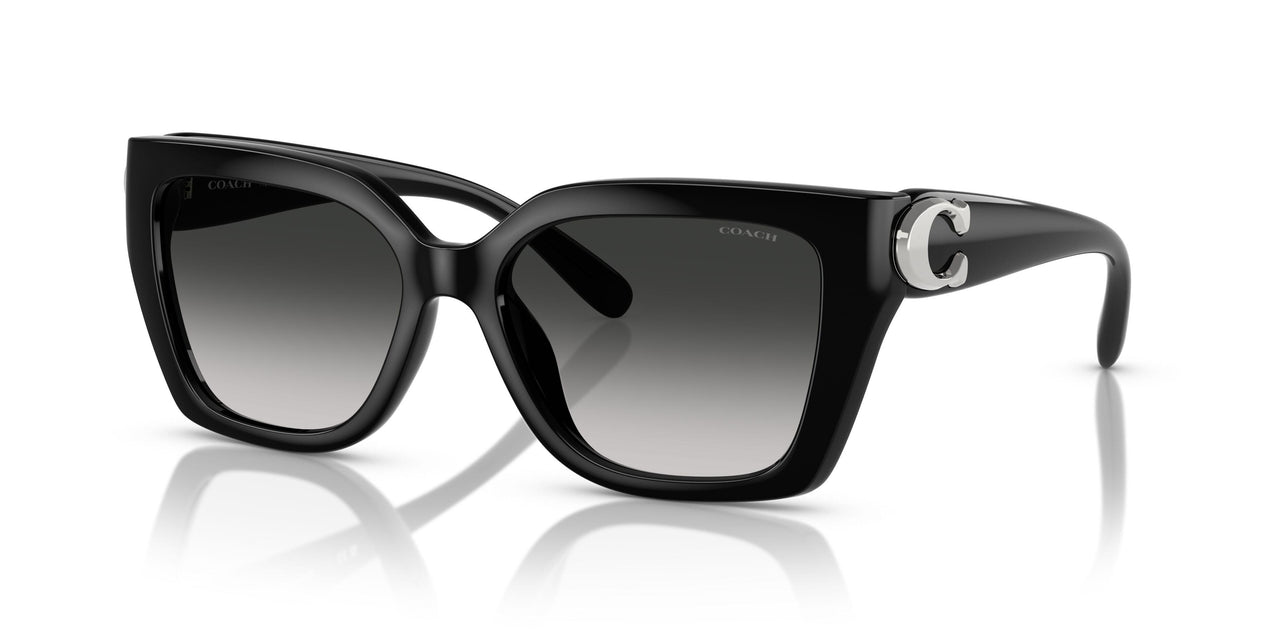 50023C - Black - Grey Gradient