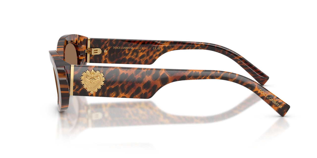 347073 - Brown - Dark Brown