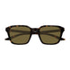 002 - Havana - Brown