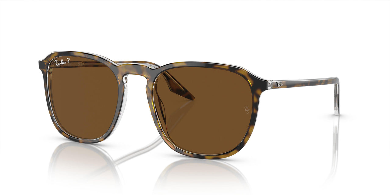 139357 - Tortoise - Brown