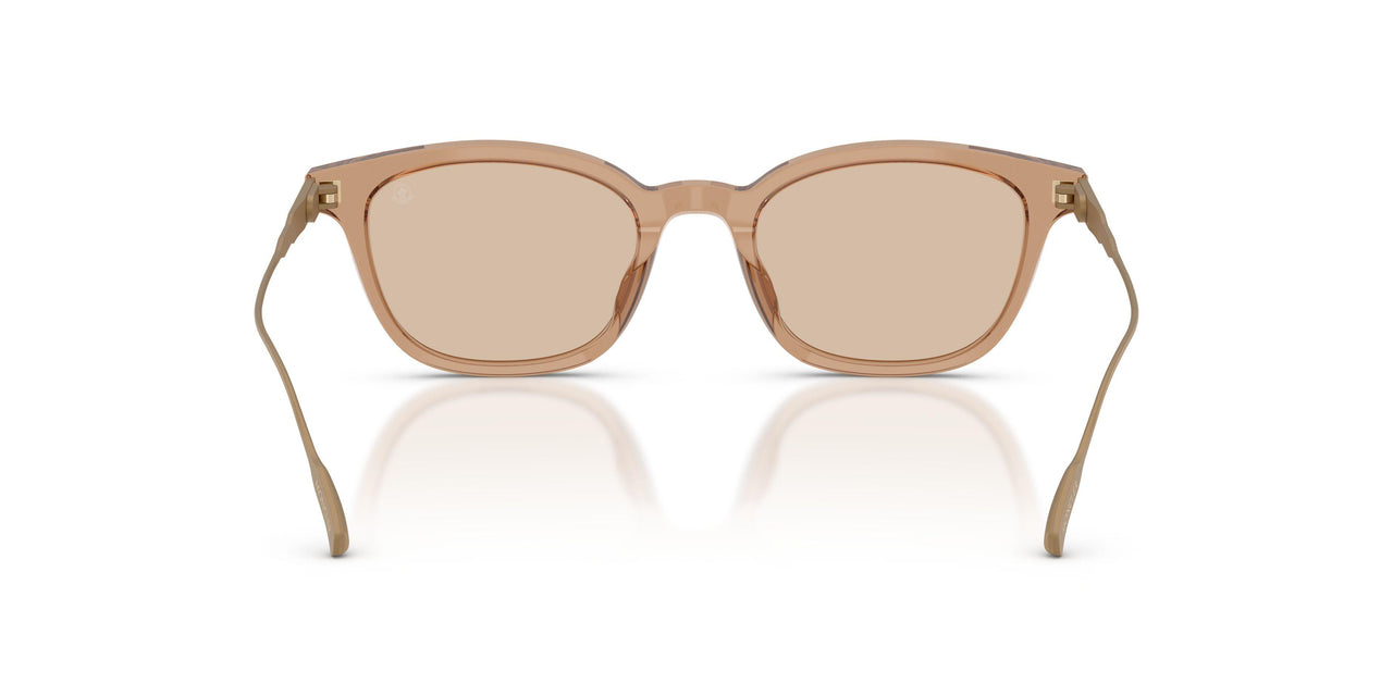 303793 - Brown - Solid Light Brown