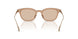 303793 - Brown - Solid Light Brown