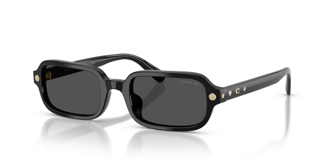 Coach Cfu11 8465U Sunglasses