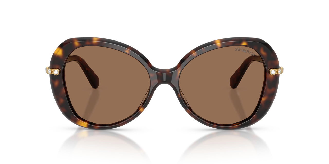 100273 - Tortoise - Dark Brown