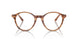 8359 - Tortoise - Clear