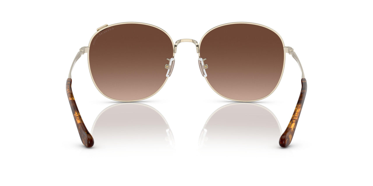9005T5 - Gold - Brown Gradient Polar