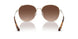 9005T5 - Gold - Brown Gradient Polar