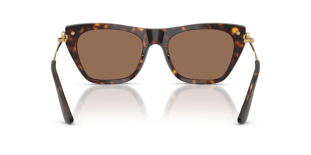 502/73 - Tortoise - Dark Brown