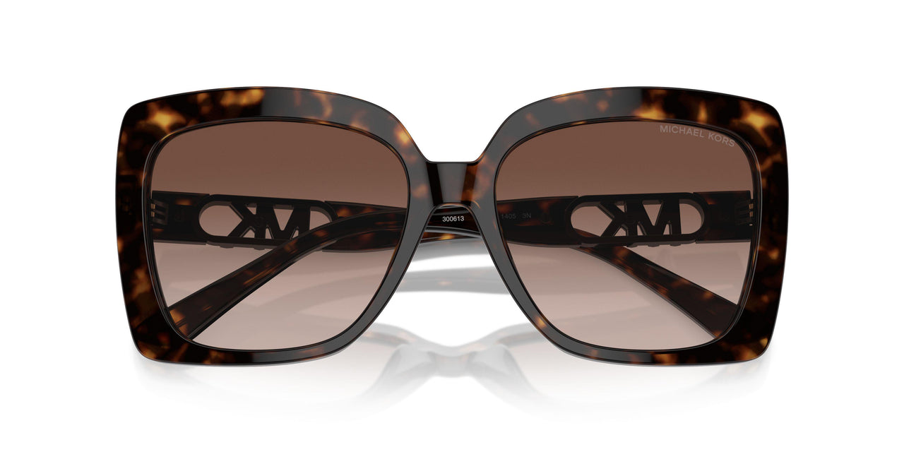 300613 - Tortoise - Brown Gradient