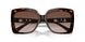 300613 - Tortoise - Brown Gradient