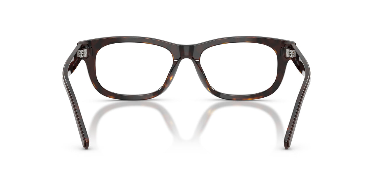 2069 - Brown
