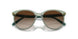 302213 - Green - Brown Gradient