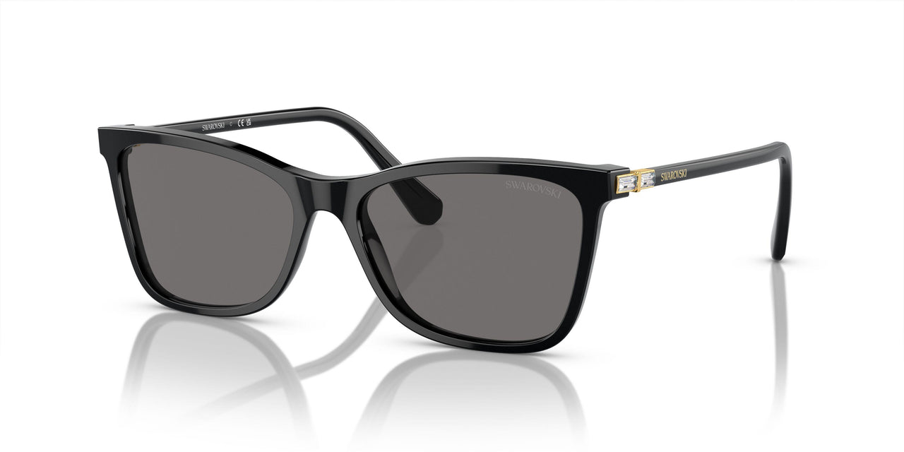 100181 - Black - Dark Grey Polarized