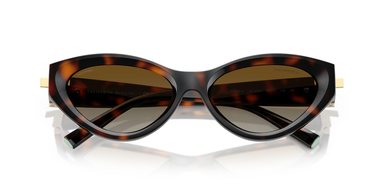 8015T5 - Tortoise - Polar Brown Gradient