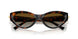 8015T5 - Tortoise - Polar Brown Gradient
