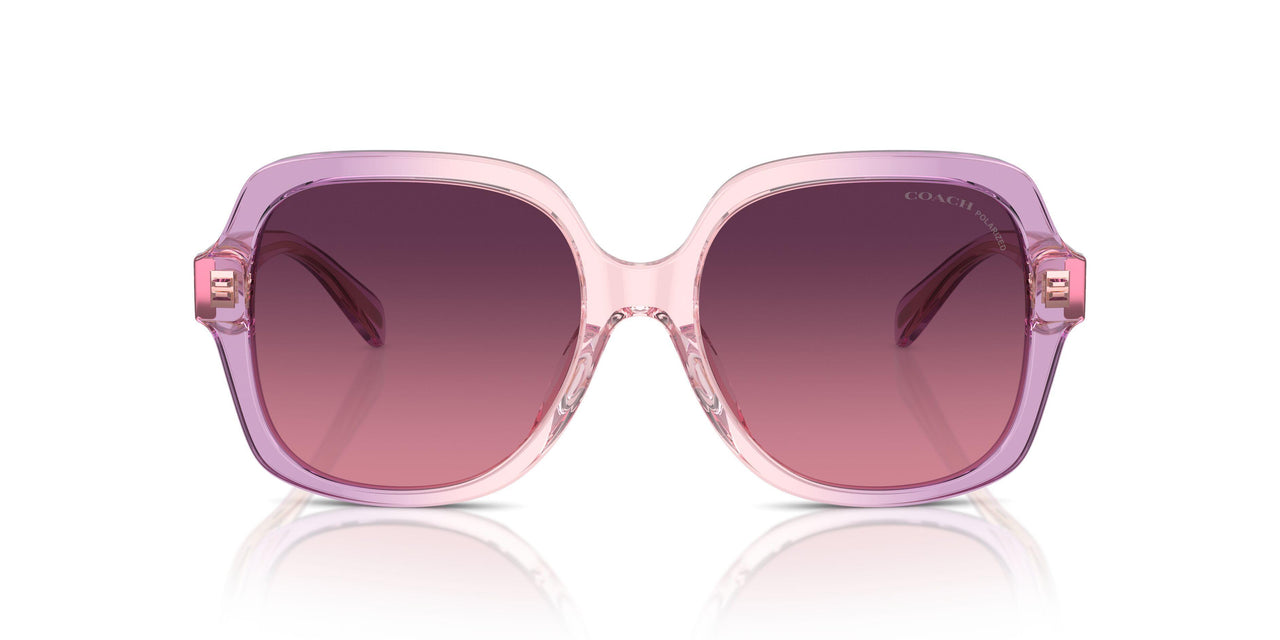 5813F4 - Violet - Burgundy Gradient Polar
