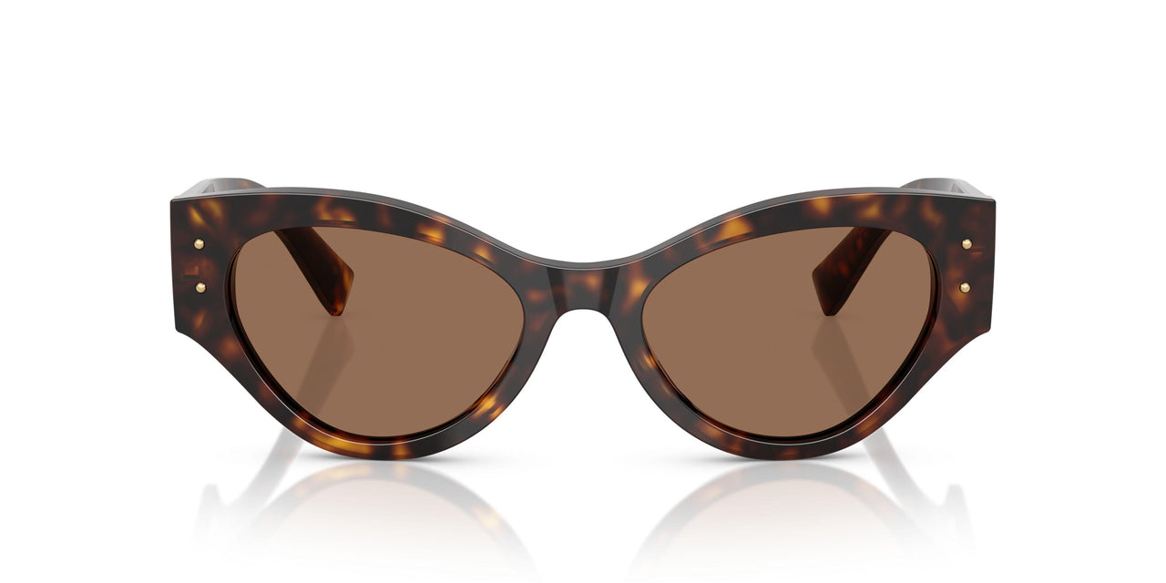 502/73 - Tortoise - Dark Brown