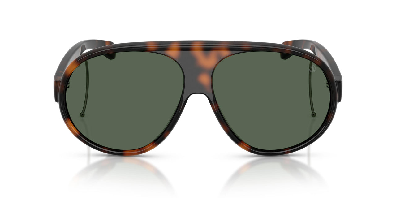 502171 - Tortoise - Dark Green Solid