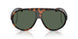 502171 - Tortoise - Dark Green Solid