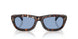304880 - Tortoise - Solid Light Blue