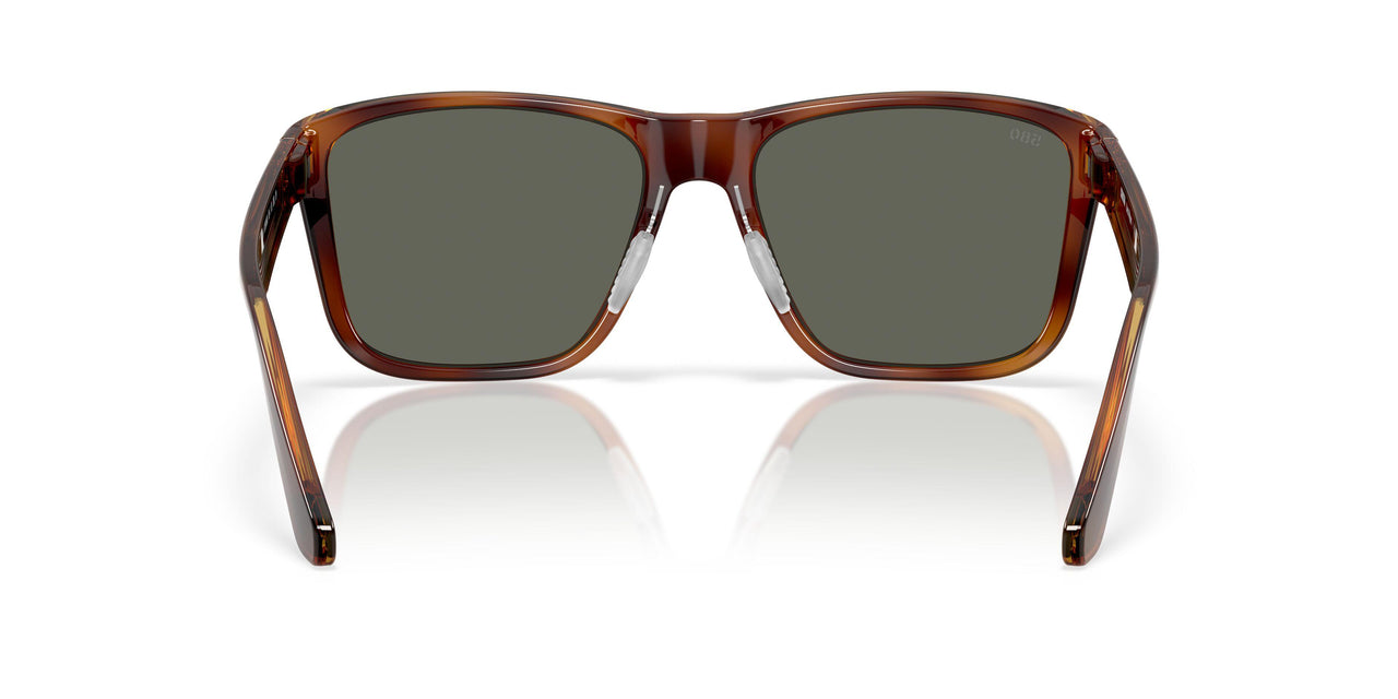 912605 - Tortoise - Gray