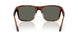 912605 - Tortoise - Gray