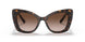 502/13 - Havana - Gradient Brown