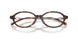 2003 - Tortoise