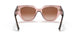 282813 - Pink - Brown Gradient