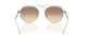 319/13 - Tortoise - Gradient Dark Brown