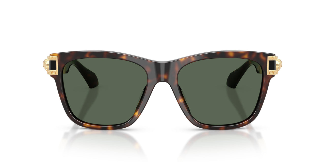 108/71 - Brown - Dark Green