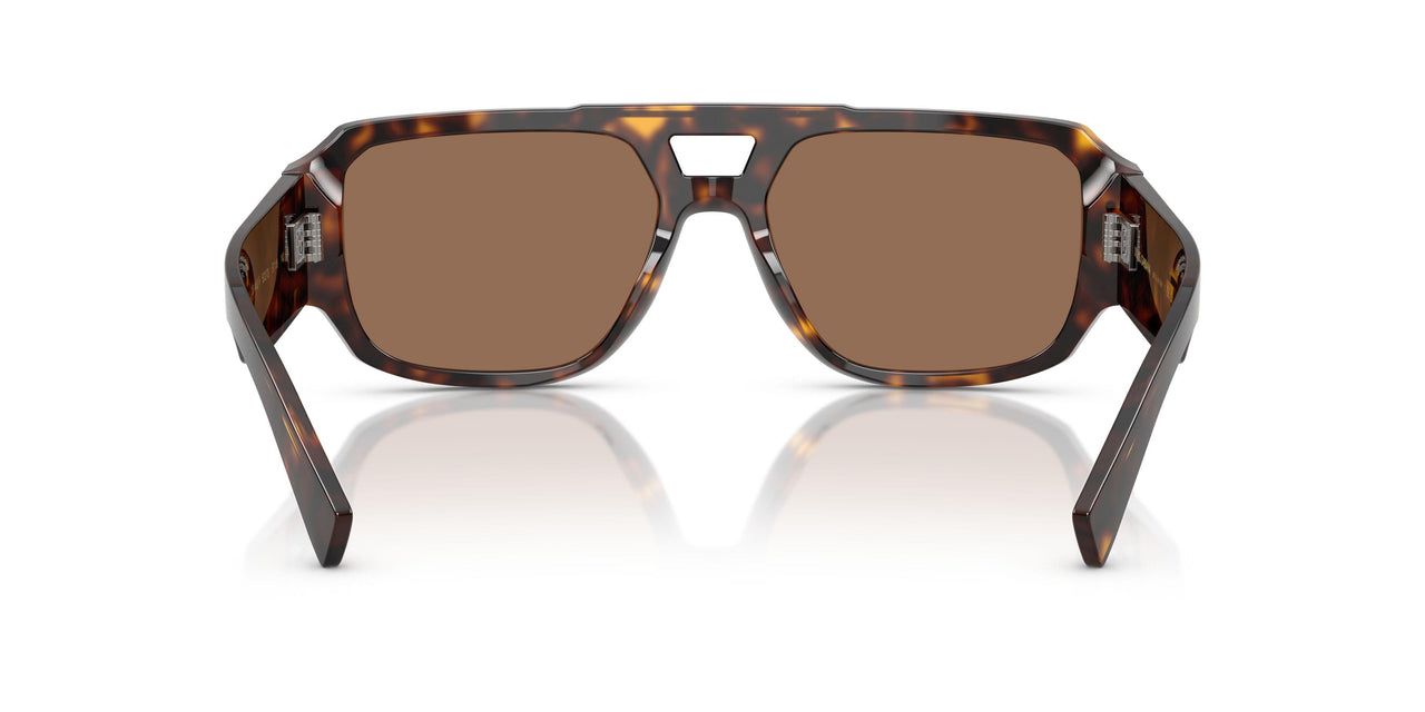 502/73 - Tortoise - Dark Brown
