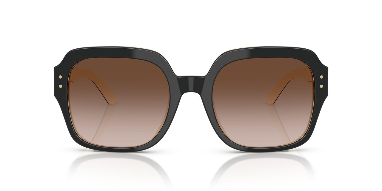 198813 - Black - Brown Gradient