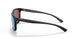 947305 - Black - Prizm Deep Water Polarized