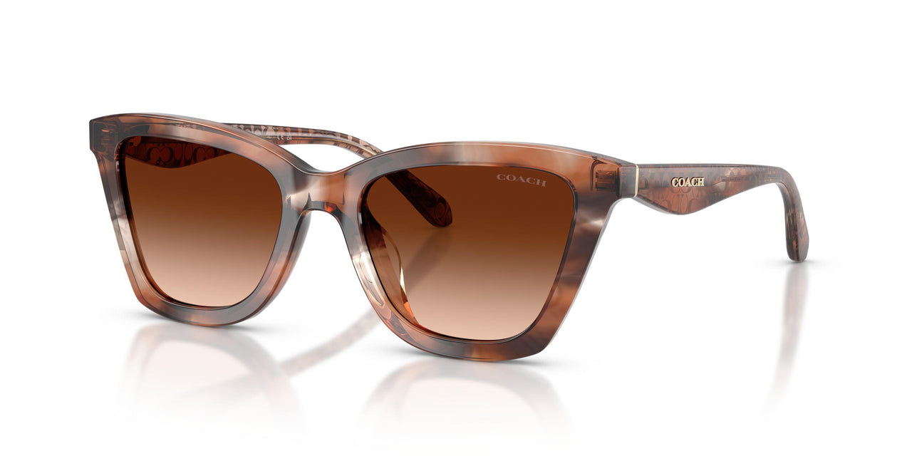 Coach Cfu10 8464U Sunglasses