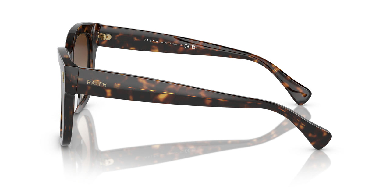 500313 - Brown - Gradient Brown