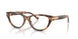 6089 - Tortoise